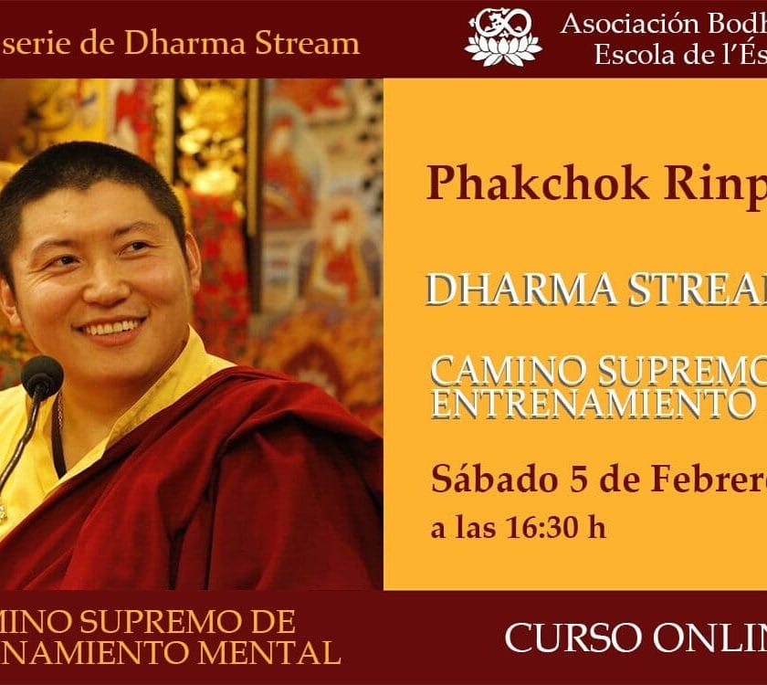 Enseñanzas «Dharma Stream II» de Phakchok Rinpoche:«Camino supremo de entrenamiento mental»
